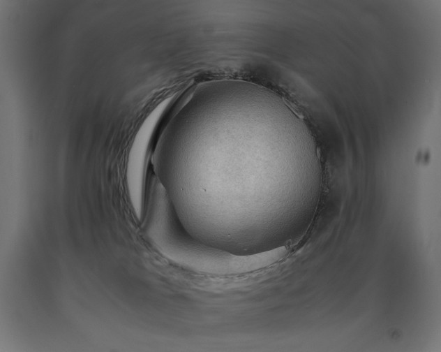 X0000091010037200708021558