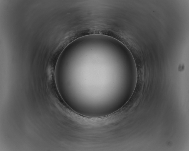 X0000091010038200708021558