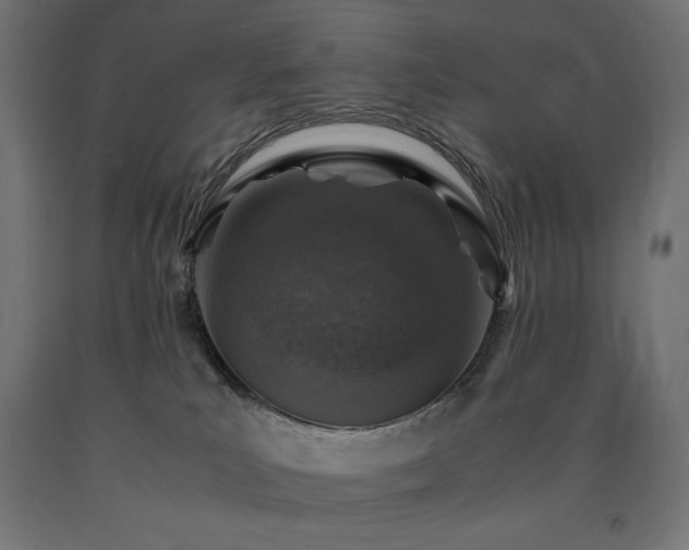 X0000091010039200708021558