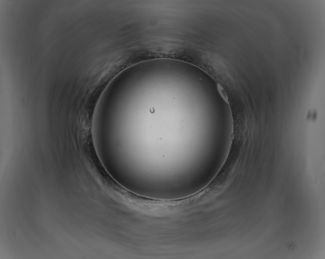X0000091010040200708021558