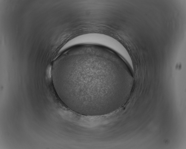 X0000091010041200708021558