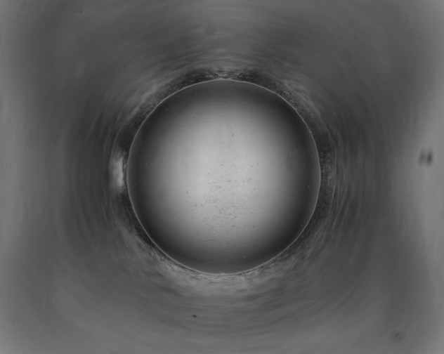 X0000091010042200708021558