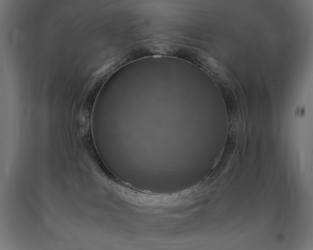 X0000091010043200708021558
