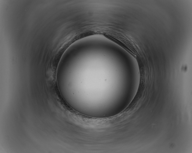 X0000091010044200708021558