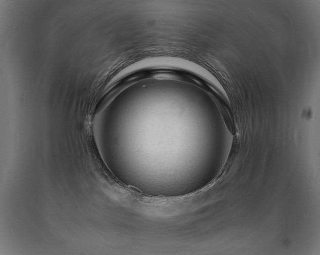 X0000091010045200708021558
