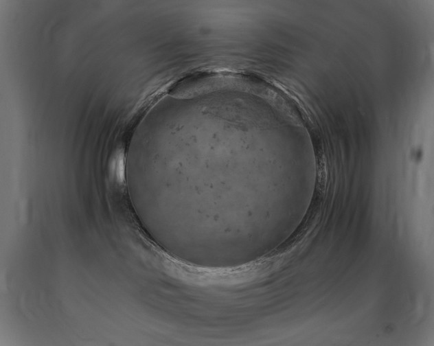 X0000091010046200708021558