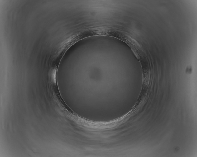 X0000091010047200708021558