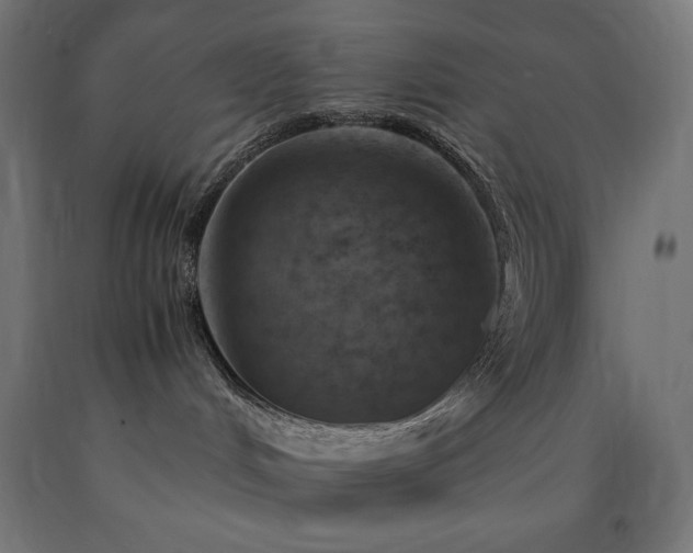 X0000091010048200708021558