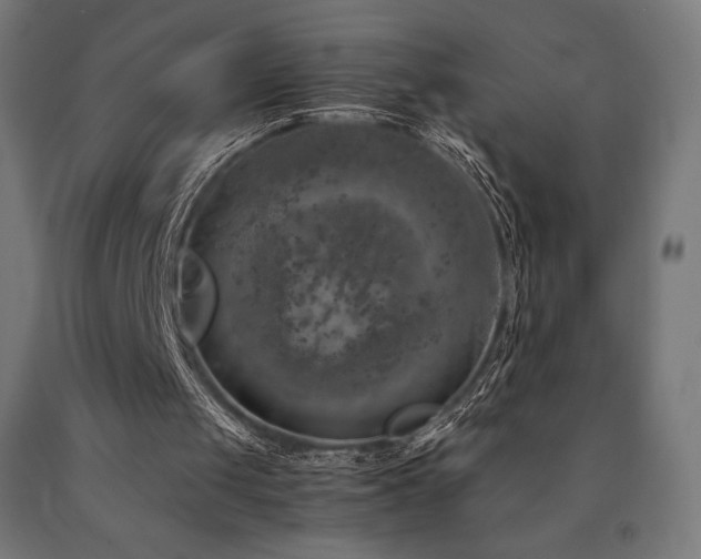 X0000091010049200708021557