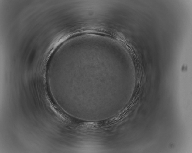 X0000091010050200708021557
