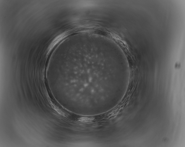 X0000091010051200708021557