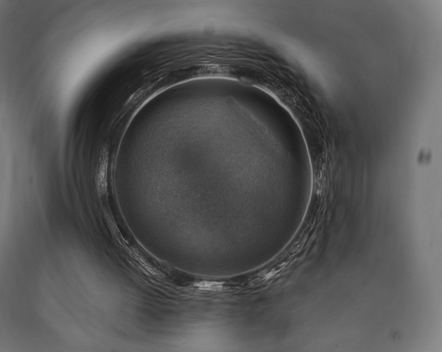X0000091010052200708021558