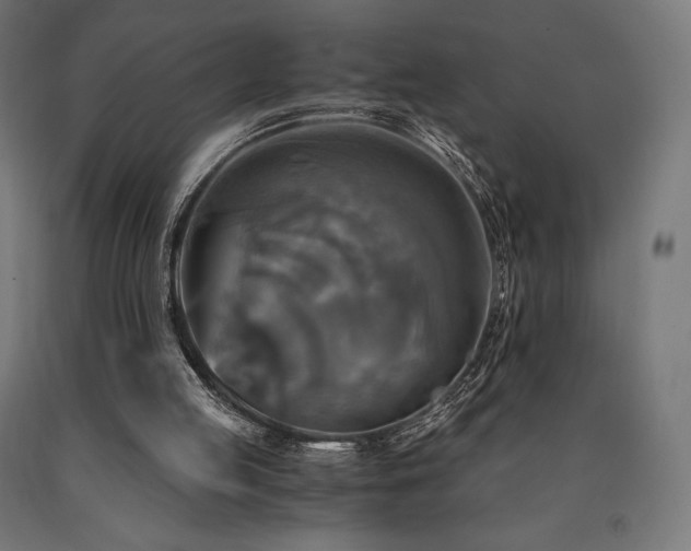 X0000091010053200708021558