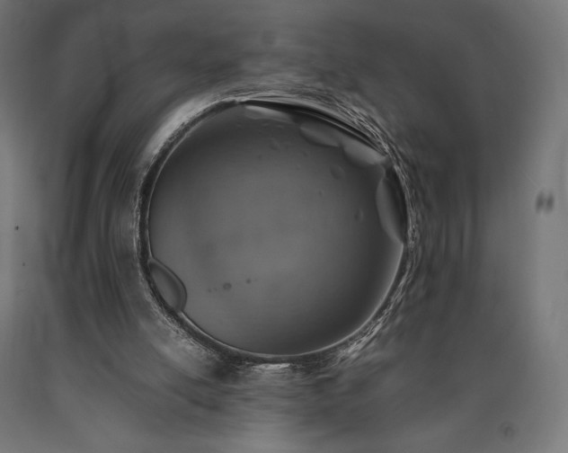 X0000091010054200708021558