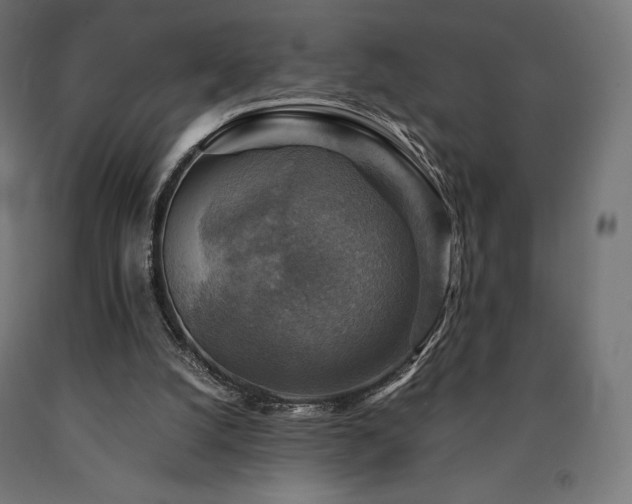 X0000091010056200708021558
