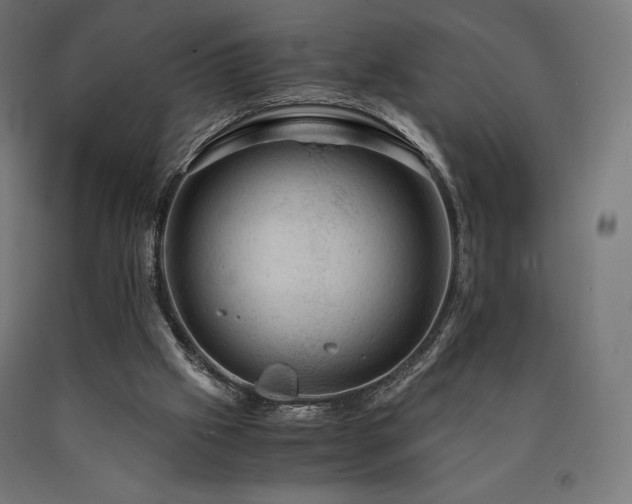 X0000091010057200708021558