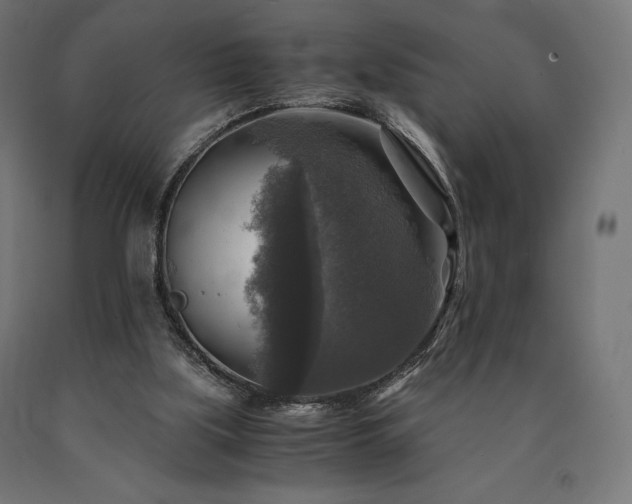 X0000091010059200708021558