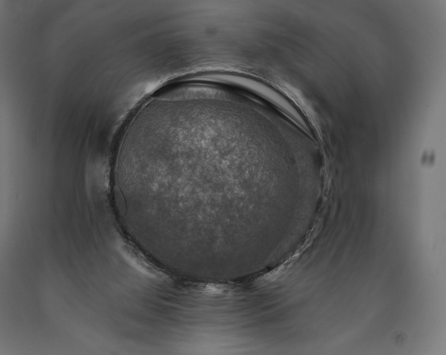 X0000091010060200708021558