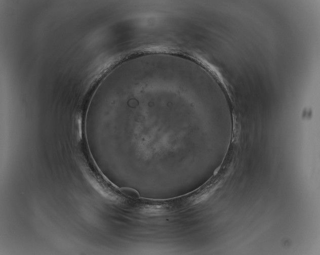 X0000091010061200708021558