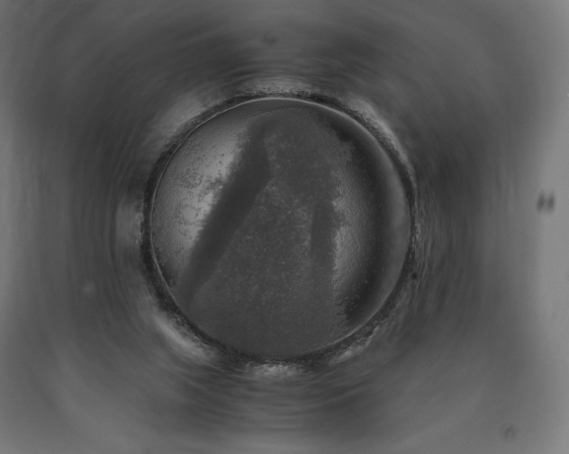 X0000091010063200708021558