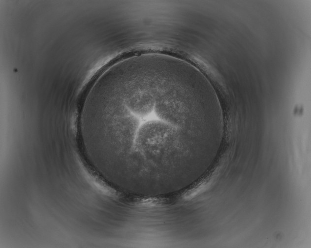 X0000091010064200708021558