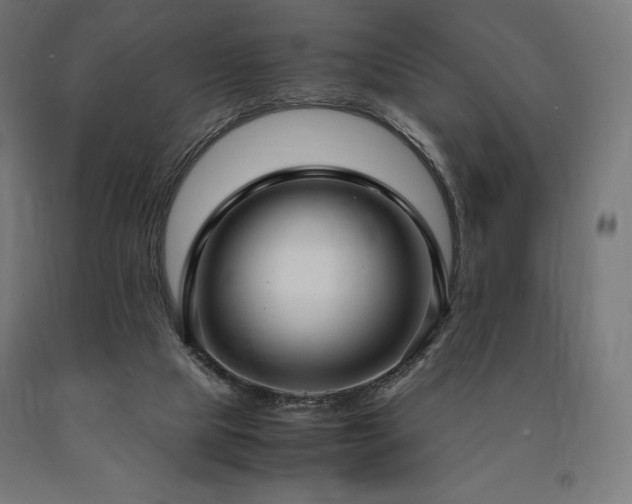 X0000091010065200708021558