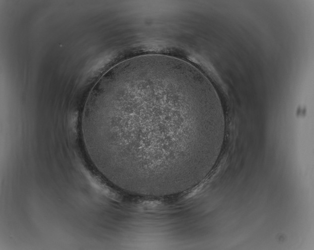 X0000091010066200708021558