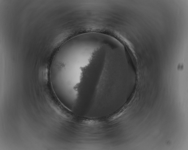 X0000091010067200708021558