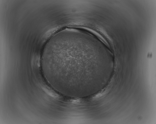 X0000091010068200708021558