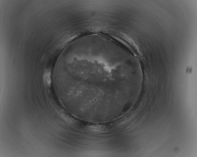 X0000091010069200708021558