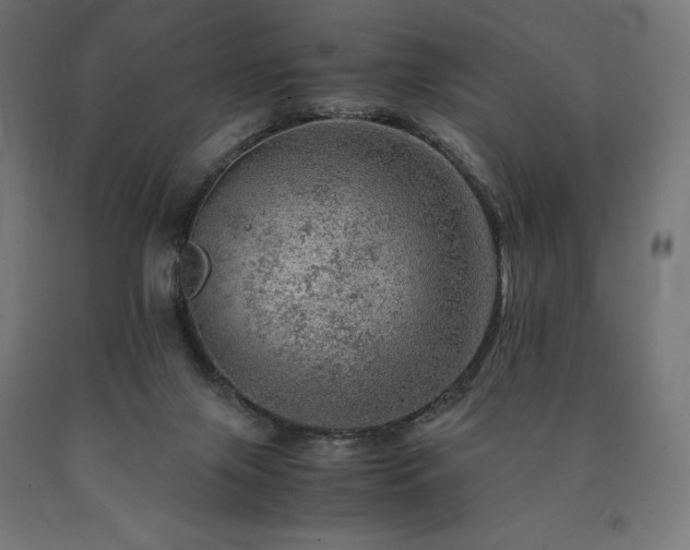 X0000091010071200708021558