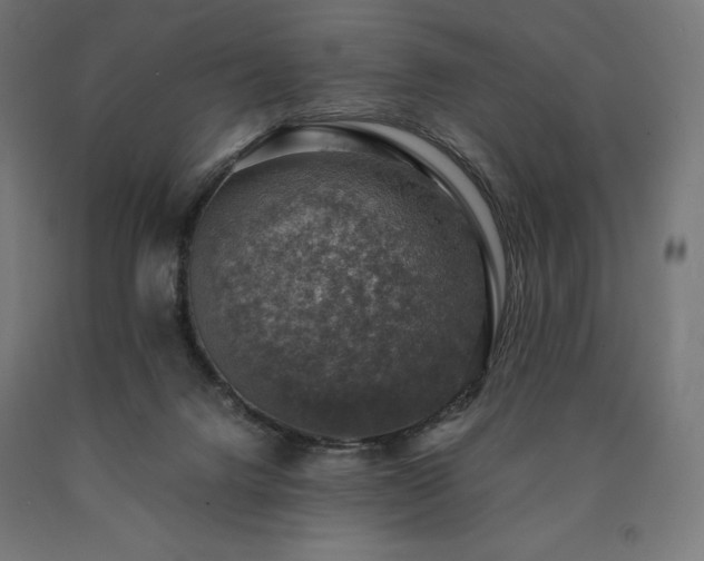 X0000091010072200708021558