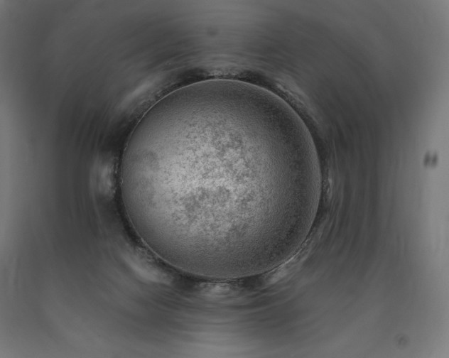 X0000091010074200708021558
