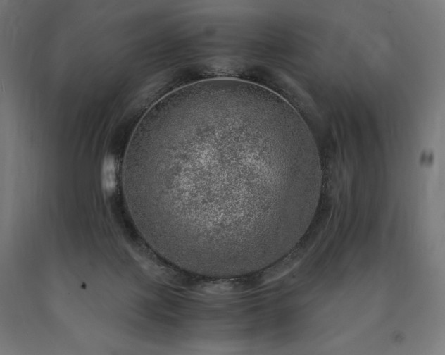 X0000091010075200708021558