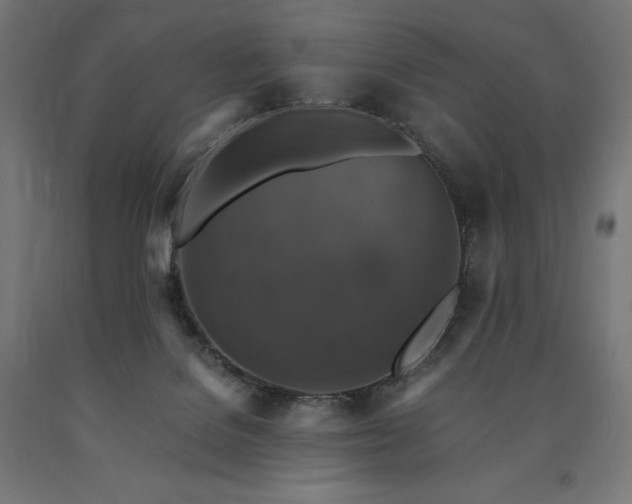 X0000091010076200708021558
