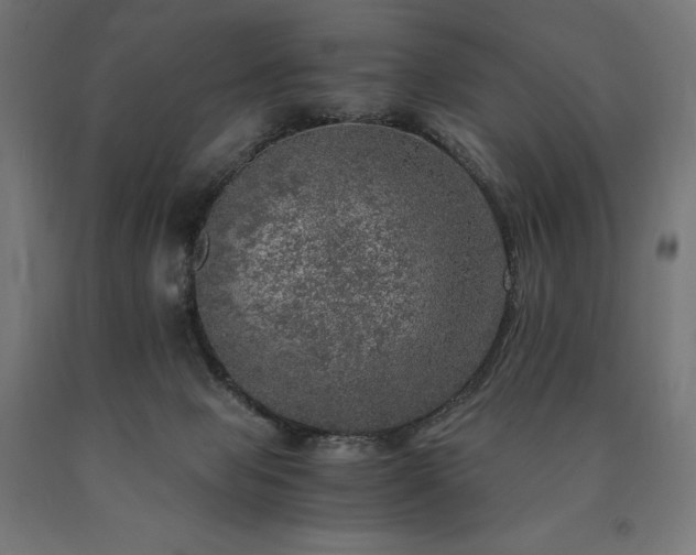 X0000091010077200708021558