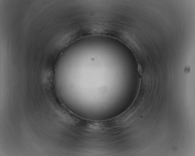 X0000091010079200708021558