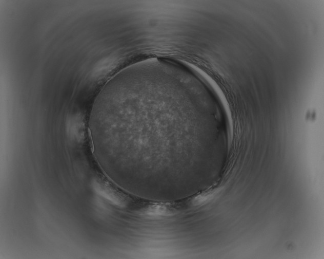 X0000091010080200708021558