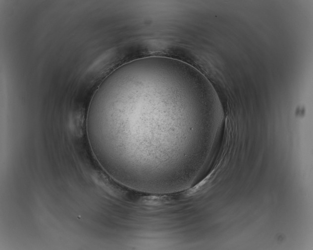 X0000091010082200708021558