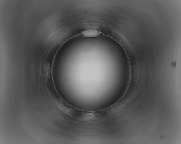 X0000091010083200708021558