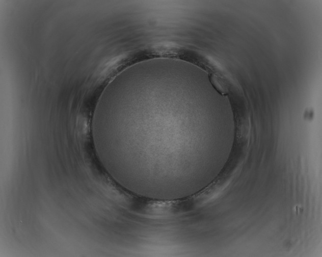 X0000091010084200708021558