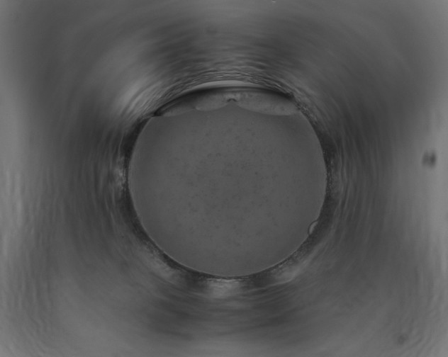X0000091010085200708021558