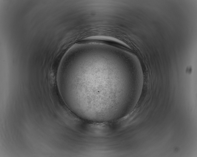 X0000091010086200708021558