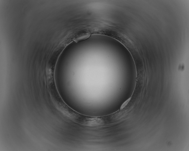 X0000091010087200708021558
