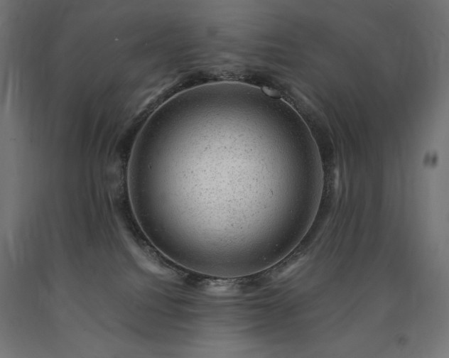 X0000091010088200708021558