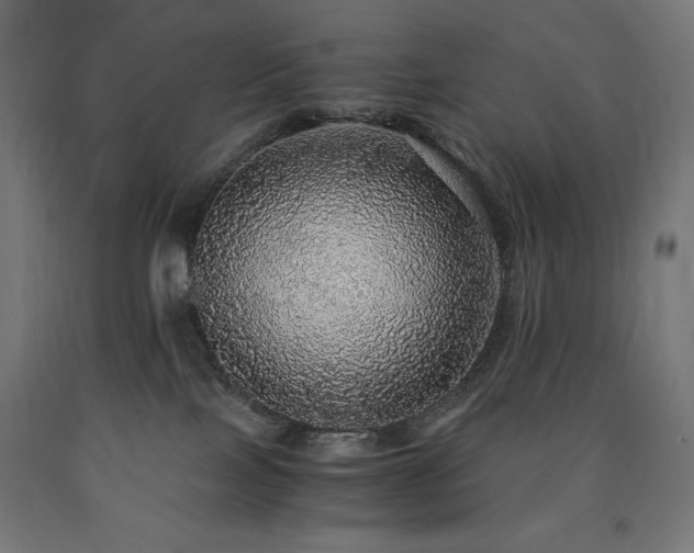 X0000091010089200708021558