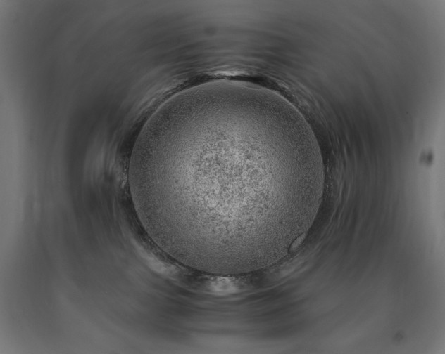 X0000091010091200708021558