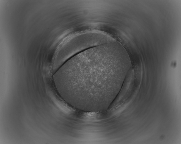 X0000091010092200708021558