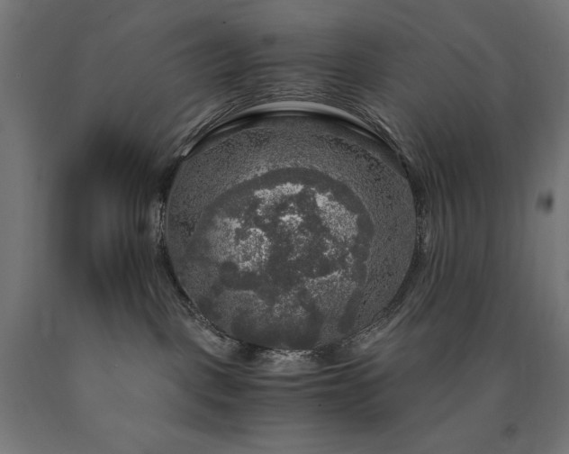 X0000091010093200708021558