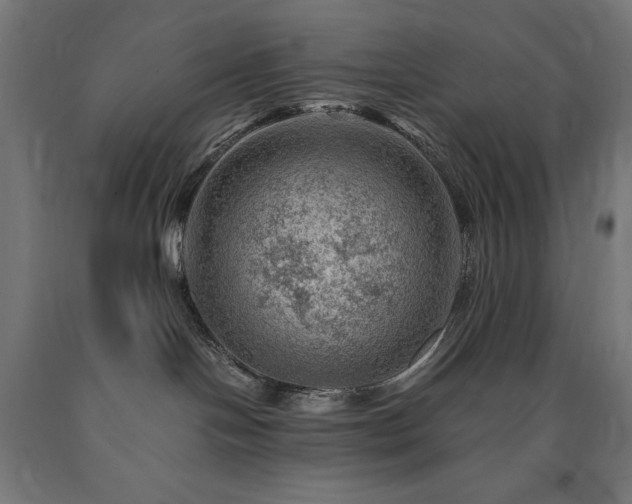 X0000091010094200708021558